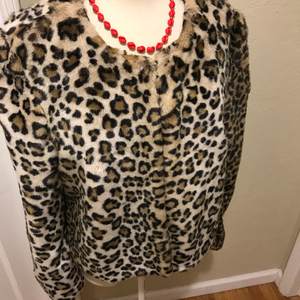 Leopard Coat - Picture 3 of 5